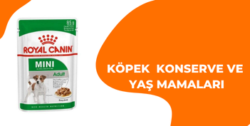 Kedi
