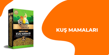 Köpek Konserve ve Yaş Mamaları